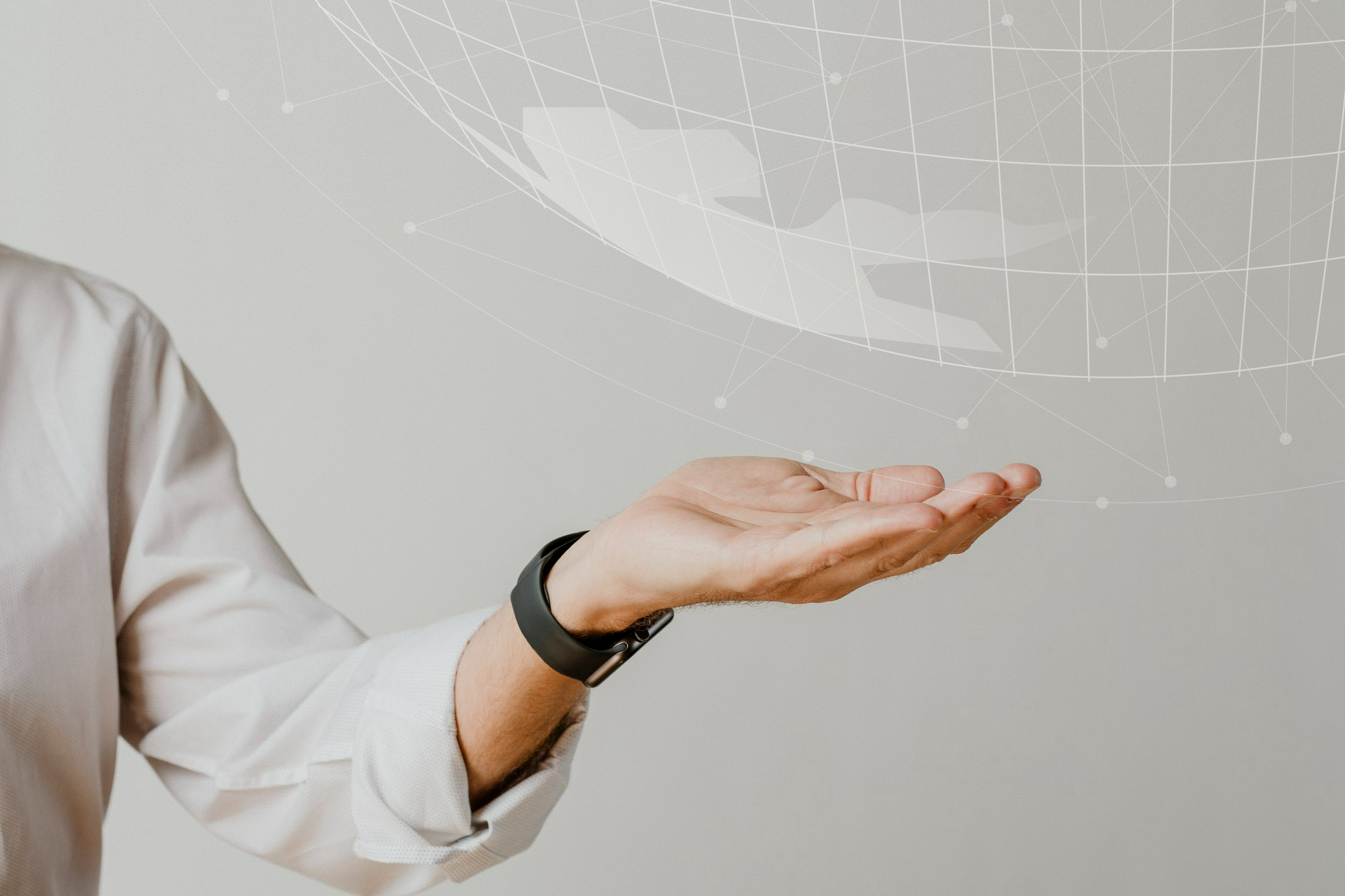 TC International Colours